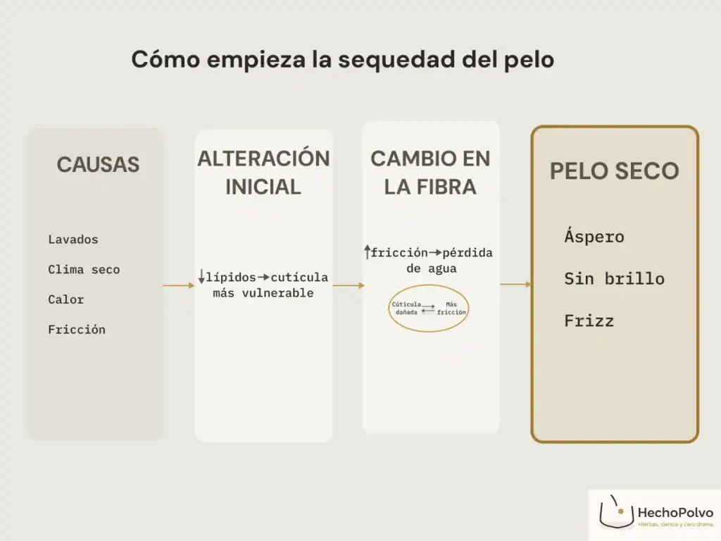 Señales tempranas de pelo seco representadas como última llamada en un aeropuerto
