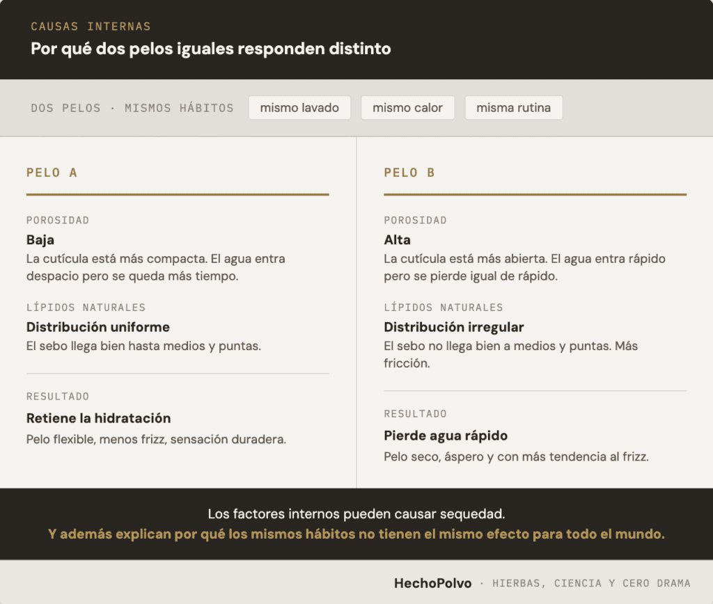 Tabla resumen de factores internos que favorecen la deshidratación del pelo y la pérdida de agua.