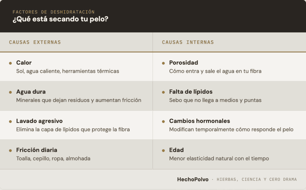 Tabla resumen de factores externos e internos que favorecen la deshidratación del pelo y la pérdida de agua.